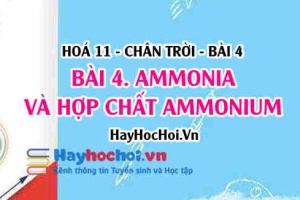 Tính chất vật lí, tính chất hoá học của Ammonia (NH3), Ammonium và ứng dụng? Hoá 11 chân trời bài 4